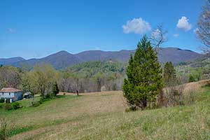 Free Union Virginia Land for sale