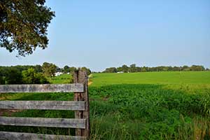 Virginia Farm for sale in Fluvanna County 