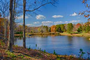 Albemarle and Louisa  County Land for sale