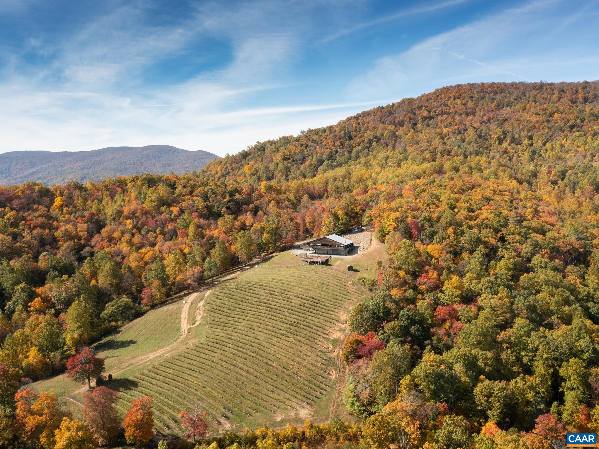 1376 Wyatt Mountain Rd, Dyke