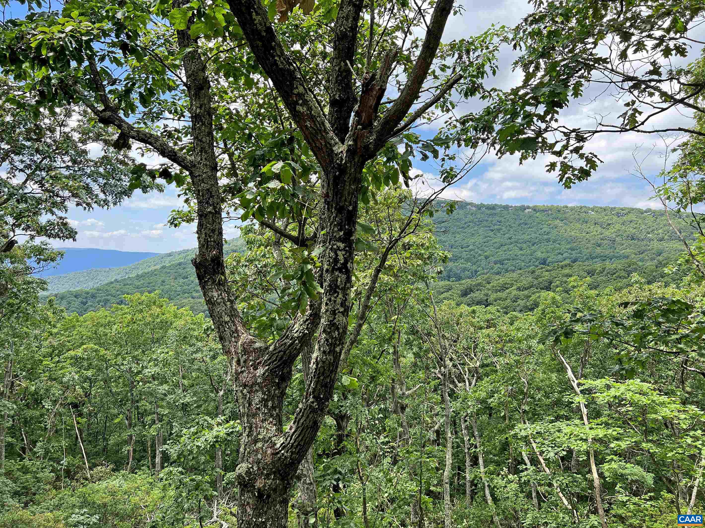 66 Brimstone Dr, Wintergreen Resort
